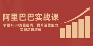 阿里巴巴实战课:掌握1688流量密码,提升运营能力,实现店铺增长-阿鑫