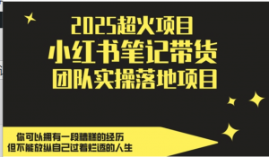 2025超火项目，副业最佳选择，小红书笔记带货团队实操落地项目，轻松日入5张-阿鑫