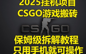 2025挂G项目，CSGO游戏搬砖，保姆级拆解教程，只用手机就可操作【揭秘】-阿鑫