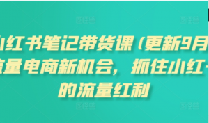小红书笔记带货课(更新25年4月)流量电商新机会，抓住小红书的流量红利-阿鑫