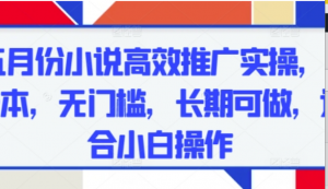 五月份小说高效推广实操，0成本，无门槛，长期可做，适合小白操作-阿鑫
