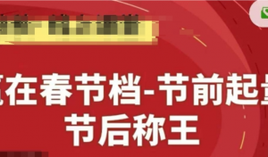 赢在春节档-节前起量,后称王,淘系精品线上系列课-阿鑫