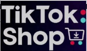 TikTokShop跨境电商0-1实战，手把手教(更新)你低成本启动海外市场-阿鑫