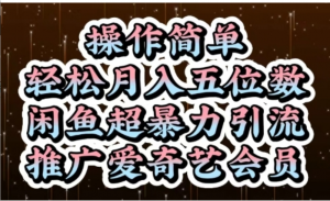闲鱼超暴力引流推广爱奇艺会员，操作简单，轻松月入5位数-阿鑫