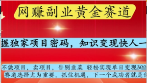 网创副业黄全赛道,掌握独家项目密码,知识变现快人一步,告别韭菜轻松实现单日变现1k+【揭秘】-阿鑫