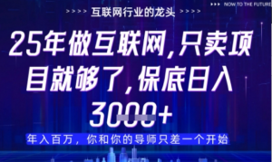 什么!25年你还在找项目做?风口早就变了，卖项目才是稳挣不赔【揭秘】-阿鑫