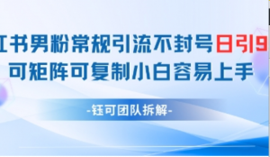 小红书男粉常规引流不封号日引99+变现简单 可矩阵可复制小白容易上手-阿鑫