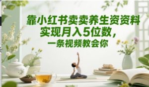 靠小红书卖养生资料实现月入5位数，一条视频教会你-阿鑫