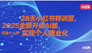 28天小红书特训营，2025全新升级AI版打造个人IP，实现个人商业化-阿鑫