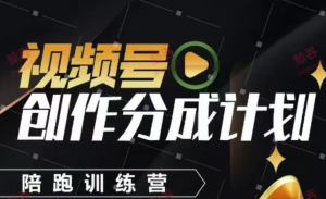 视频号创作分成计划陪跑训练营，手把手教会你如何制作视频，细水长流型项目-阿鑫