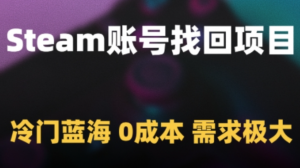 Steam账号找回项目，冷门蓝海，0成本 需求极大-阿鑫