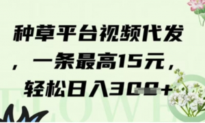 种草平台视频代发，一条最高15元，轻松 日入3张-阿鑫