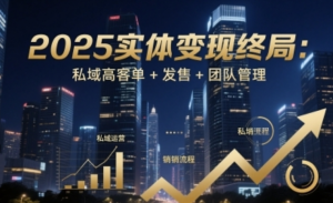 实体变现终局:私域高客单+发售+团队管理-阿鑫