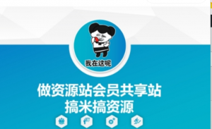 做资源站会员共亨站搞米搞资源-阿鑫