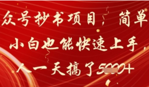公众号抄书项目，简单粗暴，小自也能快速上手，有人一天搞了1k+-阿鑫