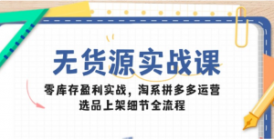无货源实战课：零库存盈利实战，淘系拼多多运营，选品上架细节全流程-阿鑫