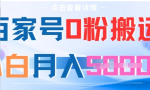 百家号0粉搬运，不用剪视频坚持搞，小 白月入5k+-阿鑫