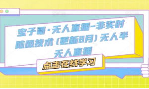 宝子哥·无人直播-非实时防风技术(更新25年5月)无人半无人直播-阿鑫