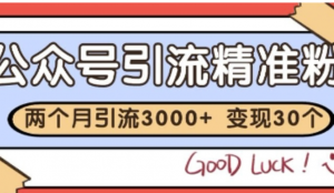 公众号精准粉引流玩法，2个月3000+精准粉，变现30个W【揭秘】-阿鑫