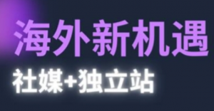 海外新机遇(社媒+独立站)，实现独立站的高效运营-阿鑫