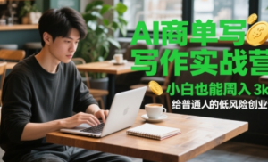 AI商单写作实战营，小自也能周入3k+给普通人的低风险创业课-阿鑫