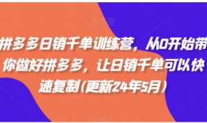 拼多多日销干单训练营，从0开始带你做好拼多多，让日销干单可以快速复制(更新25年5月)-阿鑫