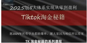 TikTok跨境淘金秘籍，​TikTok从0到盈利变现-阿鑫