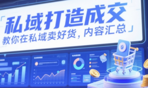 私域打造成交，教你在私域卖好货，内容 汇总-阿鑫