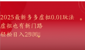 2025最新多多虚拟0.01玩法!虚拟也有新世界，轻松日入1k+-阿鑫