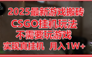 2025最新游戏搬砖，CSGO挂G，不需要玩游戏，实现真挂G，月入1W+【揭秘】-阿鑫