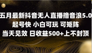 2025五月最新无人直播撸音浪单日产出5张+实操教程【揭秘】-阿鑫