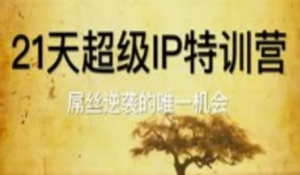 21天超级IP特训营，屌丝逆袭的唯一机会-阿鑫