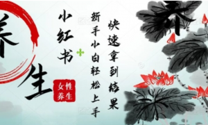 疯狂火爆，用Deepseek小红书平台的女性古声古韵养生爆款，小白轻松制作，快速拿到结果-阿鑫