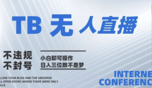 2025年淘宝无人直播带货10.0全新技术，不违规，不封号，纯小白操作，日入几张【揭秘】-阿鑫