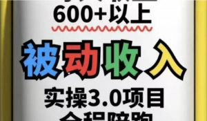 被动收入实操3.0项目，每天收益6张+以上，能长期操作-阿鑫