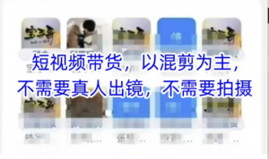 宝子哥头部团队短视频带货，以混剪为主 不需要真人出镜，不需要拍摄-阿鑫