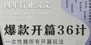 爆款短视频，爆款开篇36计，一次性掌握所有开篇玩法-阿鑫