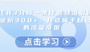 小红书3分钟一条作品精准引流创业粉300+，打造属于自己的流量帝国-阿鑫