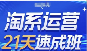 淘系运营21天速成班(更新25年5月)，0基础轻松搞定淘系运营，不做假把式-阿鑫