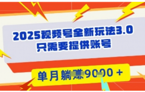 2025年视频号全新玩法3.0，操作爆款门槛低，团队赋能，单月入9k-阿鑫