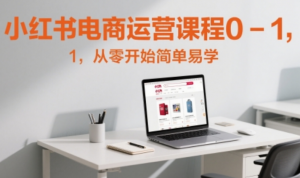 小红书电商运营课程0-1，从零开始简单易学-阿鑫