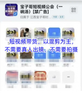 宝子哥头部团队短视频带货,以混剪为主,不需要真人出镜,不需要拍摄【更新6月】-阿鑫