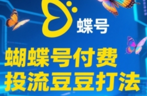 蝴蝶号付费投流豆豆打法,掌握付费流量撬动自然流的核心玩法-阿鑫
