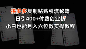 拼多多复制粘贴引流秘籍，日引400+付费创业粉，小白也能月入六位数实操…-阿鑫