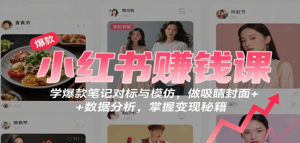 小红书赚钱课:学爆款笔记对标与模仿,做吸睛封面 + 数据分析,掌握变现秘籍-阿鑫