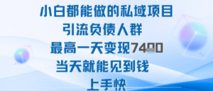 2025年小白都能做的私域项目引流负债人群最高一天变现1k+高变现难度低当天就能见到钱上手快-阿鑫