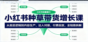 小红书种草带货增长课:从底层逻辑到内容生产、达人对接、付费投放,全链路拆解-阿鑫