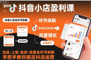 抖音小店盈利课-选品-上架-发货-流量全环节拆解,教你搞定抖店运营-阿鑫